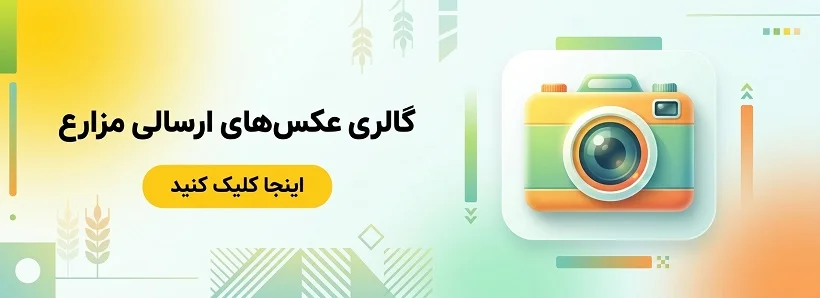 گالری عکس های ارسالی مزارع